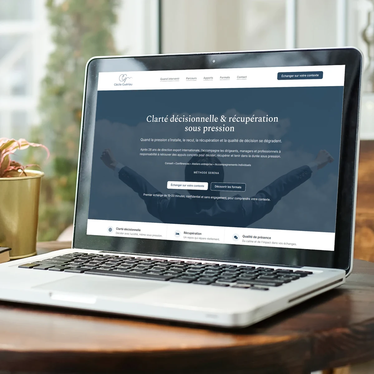 Cécile Gueriau, site internet réalisé par Antoine Koe